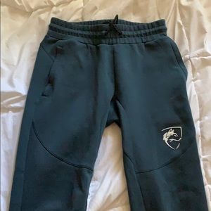 Alphalete Joggers